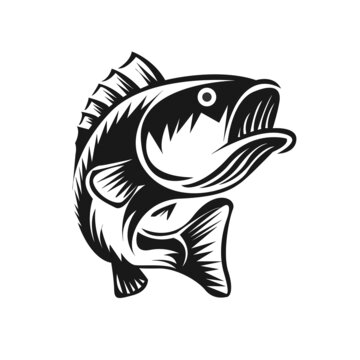 Bass fish vector illustration vintage style. Design element for logo, label, emblem.