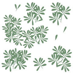 foliage leaves, bush silhouette vector