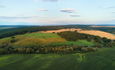 Aerial landscape view of green cultivated agricultural fields with growing crops on bright summer day