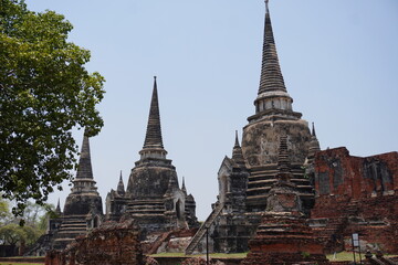 Fototapeta premium In Auytthaya