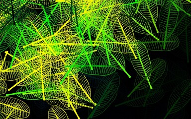 Dark Blue, Green vector doodle background with flowers, leaves.