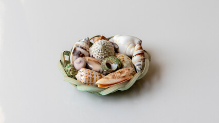 Sea shells in a basket