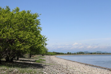 遊水地の風景