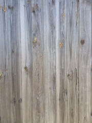 Old wood background, background of wooden boards
