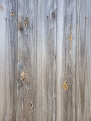 Old wood background, background of wooden boards

