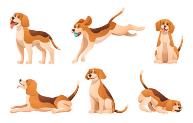 Set of cartoon beagle dog in various poses