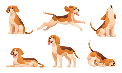 Set of beagle dog in various poses cartoon - obrazy, fototapety, plakaty