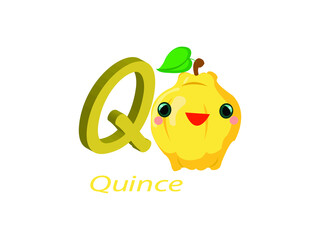 Q for Quince Alphabet Vector illustration. Fruit and Vegetables Name Alphabet symbol. Kids Nursery isolated on white background, Clip Art, Cute, Cartoon ABC