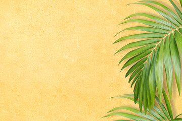 palm leaf yellow  background