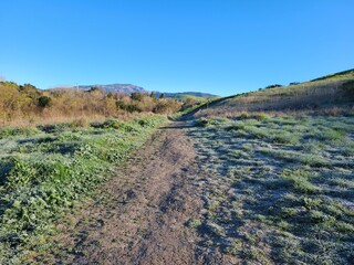 Sun shines on frosted grass on the Diablo vista trail in San Ramon, California