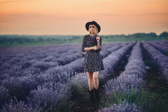 Lavender sunset