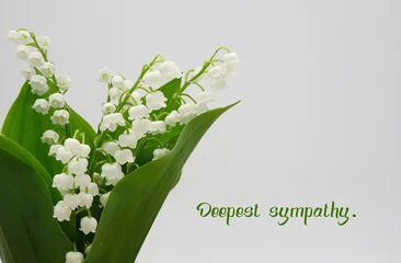 Schilderijen op glas Lily of the valley isolated on gray background, text 'deepest sympathy.' © nipa