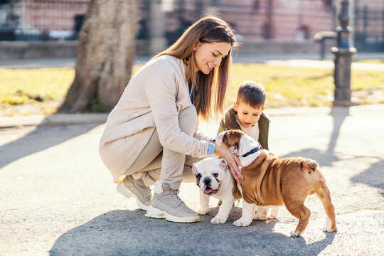 A mother and little boy playing with bulldog puppies in a park.