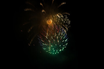 fireworks in the night sky