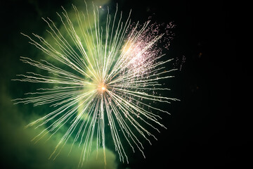 fireworks in the night sky