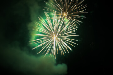 fireworks in the night sky