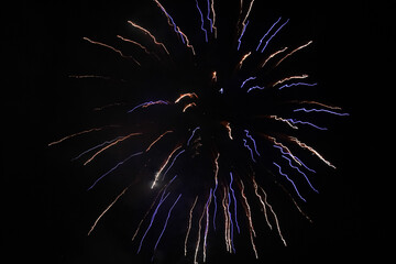 fireworks in the night sky