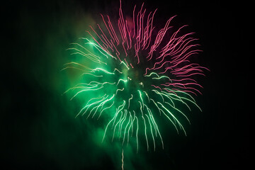 fireworks in the night sky