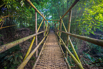 A bridge made of bamboo sticks, in a village one morning with the sun shining through its leaves, very quiet, in the area of Jogjakarta, Indonesia.
