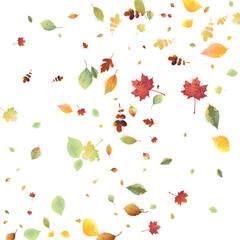 Leaves Falling Autumn Foliage Chaotic Leaf Flying