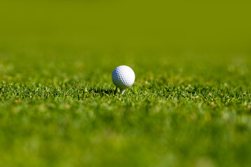 Golf ball in golf course. Sport golf ball on background with copy space.