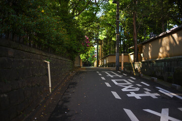 新緑に囲まれた道路