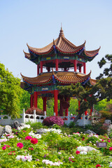 Fototapeta na wymiar Early spring scenery of East Lake Peony Garden in Wuhan, Hubei