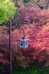 Spring scenery of Yellow Crane Tower Park in Wuhan, Hubei