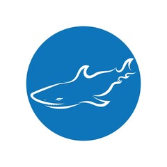 Shark illustration Logo design icon