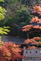 Fototapeta premium Spring scenery of Yellow Crane Tower Park in Wuhan, Hubei