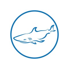 Shark illustration Logo design icon