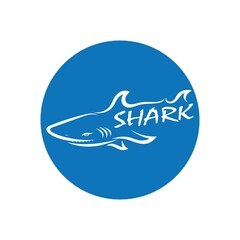 Obraz premium Shark illustration Logo design icon