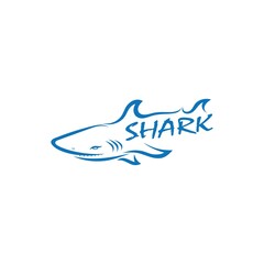 Shark illustration Logo design icon