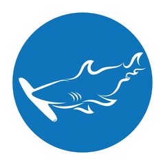 Shark illustration Logo design icon