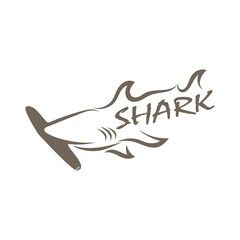 Shark illustration Logo design icon