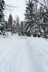 Waldweg im tiefen Schnee