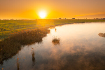 Obraz premium Spring landscape with the morning fog rising above a beautiful lake next to a rapeseed field. Agriculture in amazing parts of the world. Foggy aerial view during sunrise.