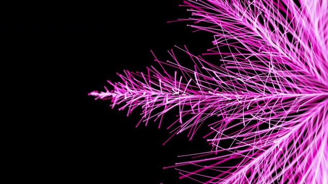 Particle pink flowers blossom - abstract motion background. 3d computer generated animation of particles flower with depth of field.