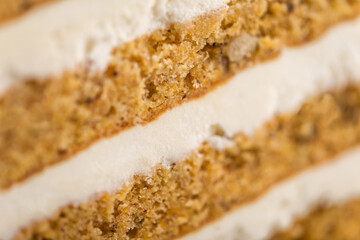 piece of cake, sponge cake, confectionery, cake texture