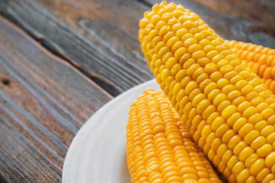 Several heads of boiled sweet corn on white plate. Sweet, delicious natural dessert. Copy space.