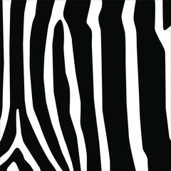 Zebra Seamless Motifs Pattern. Vector Illustration