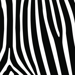 Zebra Seamless Motifs Pattern. Vector Illustration