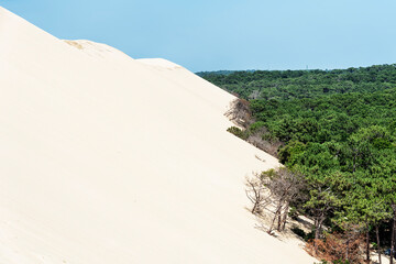 The Dune of Pilat in the South of France