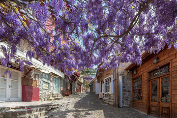 Molyvos street  view in Lesvos Island of Greece