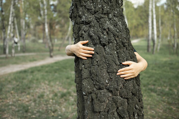The girl stands behind and hugs a tree in the forest. The concept of the global problem of carbon dioxide and global warming. Love for nature. Hands around a tree trunk.
