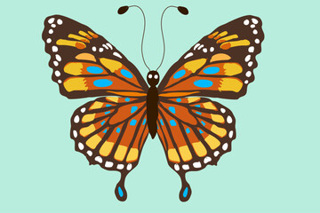 Fototapeta na wymiar Beautiful tropical butterfly with colorful wings. On a light green background, top view. Illustration.
