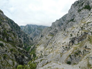 Fototapeta na wymiar valle entre rocas