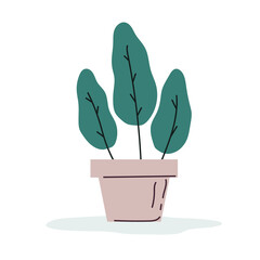Home plant, tropical leaves in pot. Isolated, hand drawn, vector illustration.