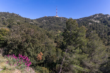 Notre-Dame-du-Mai, Var