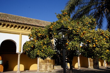 Cordoba, Lamezquita, Andalusia, Spagna
